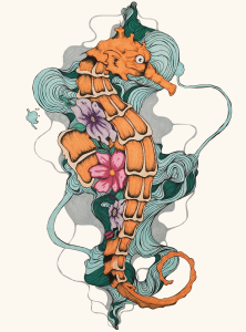 Seahorse Drawing